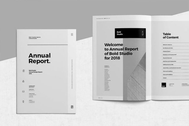 Annual Report Templates Word Indesign