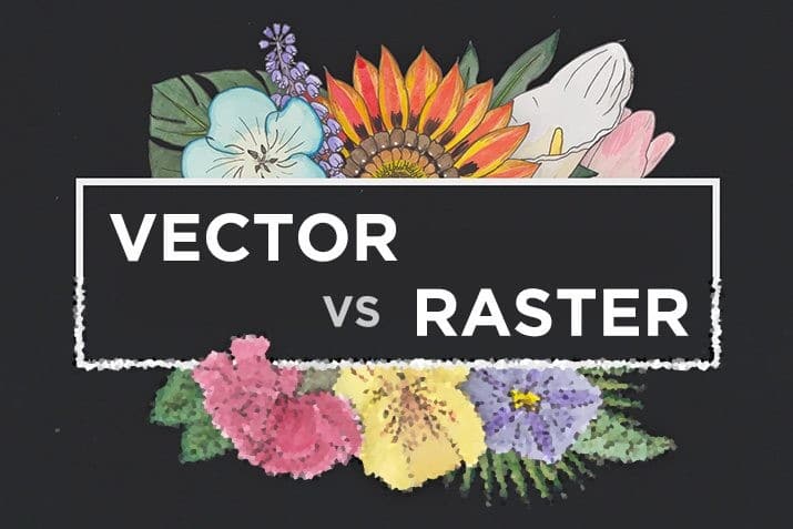 vector vs raster vs
