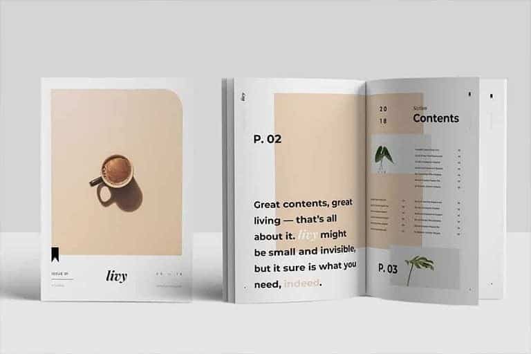 best-indesign-templates 30+ Best InDesign Templates 2021 (For Brochures, Flyers, Books & More) design tips 