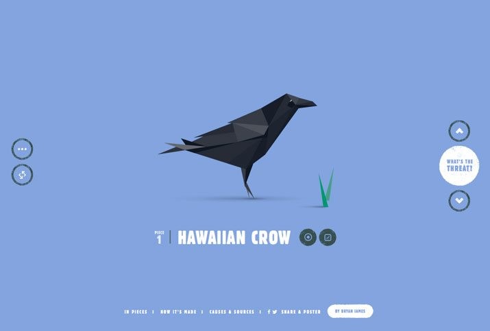species-pieces An Introduction to Animation in Web Design design tips 