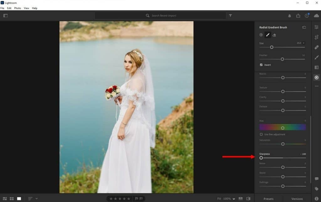 how-to-blur-background-lightroom-cc-2-1-1024x643-1 How to Blur a Background in Lightroom (Step by Step Guide) design tips 