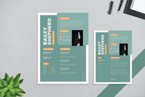 Best Photoshop Resume Cv Templates Psd Resume Templates