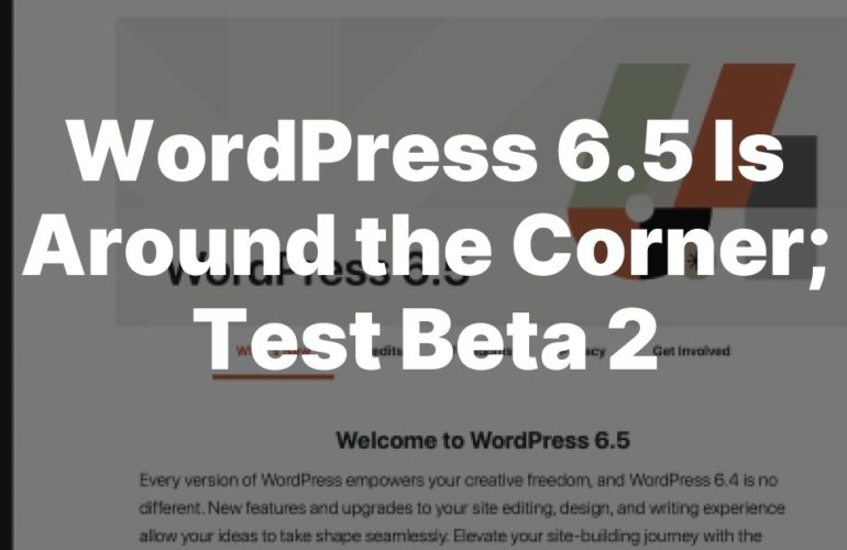 redirect-2-770x500 WordPress 6.5 Is Around the Corner; Test Beta 2 design tips 