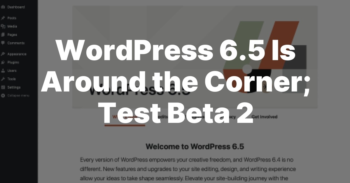 redirect-2 WordPress 6.5 Is Around the Corner; Test Beta 2 design tips 