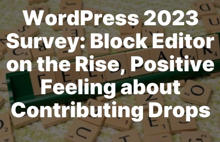 redirect-770x500 WordPress 2023 Survey: Block Editor on the Rise, Positive Feeling about Contributing Drops design tips 