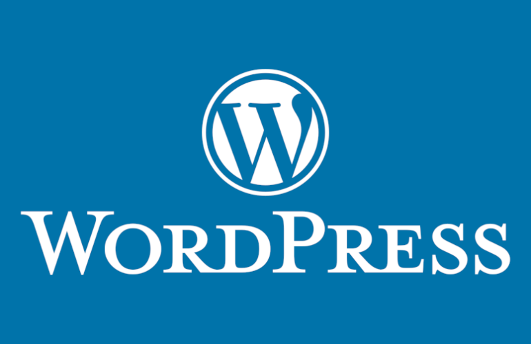 WordPress-6.9-Roadmap-770x500 WordPress 6.7 Roadmap Includes New Default Theme, APIs, and Media Enhancements design tips 